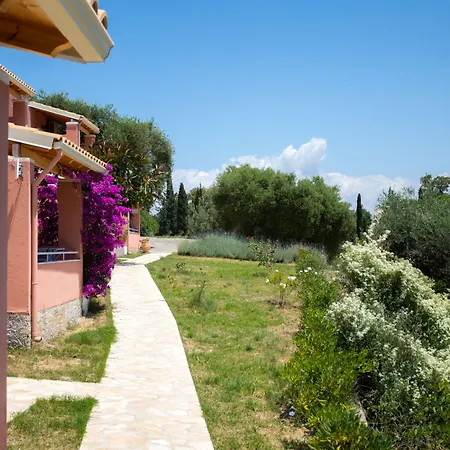 Appartement Natalia Kalámi